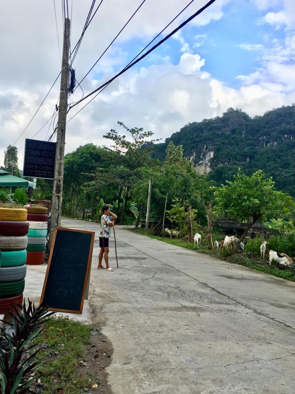 An Ngoc Tam Coc Bungalow Apartment Ninh Binh Bagian luar foto